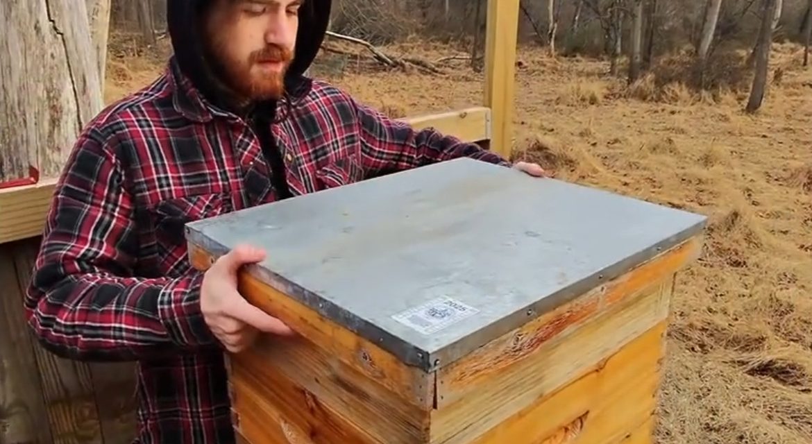 Feeding the winter bees